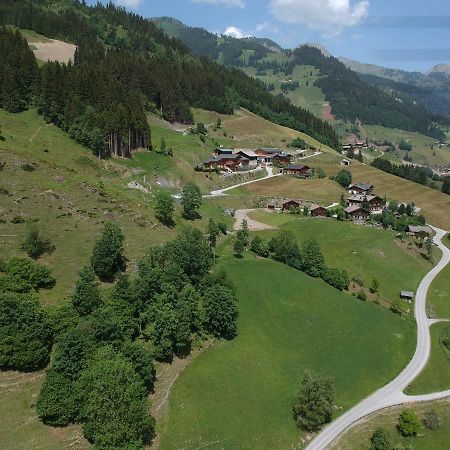 Appartmenthof Aigengut Ferienwohnung Гросарль Екстер'єр фото