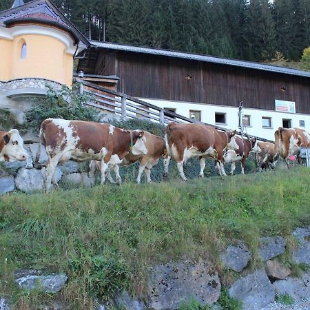 Appartmenthof Aigengut Ferienwohnung Гросарль Екстер'єр фото